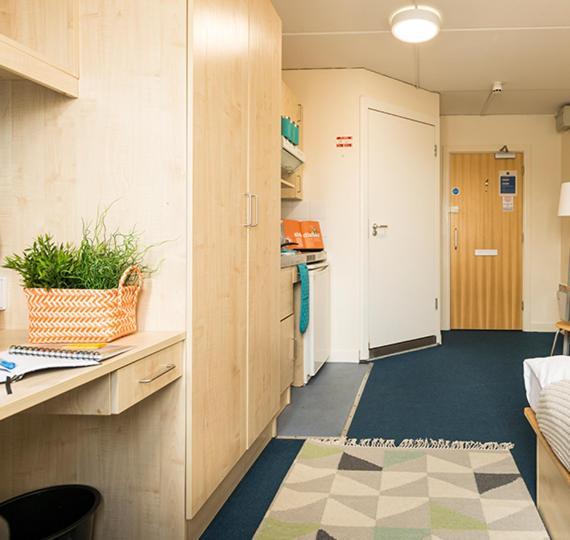Mcmillan Student Village Apartament *